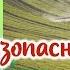 1013 Органическая пища безопаснее Больше чем ФАКТЫ О ПИТАНИИ Майкл Грегер