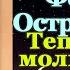 Акафист святому преподобному Феодору Острожскому