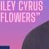IC Remix Miley Cyrus Flowers