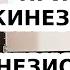 Прикладная кинезиология и кинезиотерапия В чем отличие
