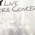 VLNY Привет Live In Aurora Concert Hall