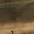 The Carnival Of The Animals R 125 XIII The Swan