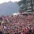 Shimla Today Holi Celebrations Shimla Holi Shorts Viral Youtube