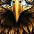 COMPITITION HORN NEW HORN BRID MIX SHITI MIX DJ REMIX Edm Dj Horn Competition