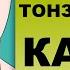 ТОНЗИЛЛИТНЫЕ КАМНИ причины образования