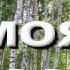 Татьяна Нужина МОЯ РОССИЯ