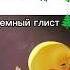 Den19k Pidor даже сменил ник аву и удалил все шортсы про обмирание меня чтоб не попало ему