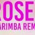 Roses Marimba Remix Of The Chainsmokers