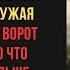 Юля забирай всех пятерых детей золовки до сентября заявила свекровь выгружая племянников у ворот