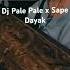 Dj Pa Pale Pale X Sape Dayak