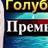 Фильм Голубая Пещера стал сенсацией зрители в восторге от игры Керема Бюрсина и Деврим Озкан