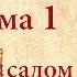 Беседы о Псалтири Кафизма первая Псалом первый