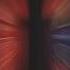 New One Kantara Kantaramovie Trance