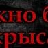 ДОЛЖНО БЫТЬ КРЫСА Страшные истории на ночь Страшилки на ночь