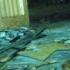 Farcry 3 Vaas Montenegro Boss Fight