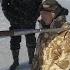 Посвящение В Пингвины