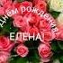 С Днём рождения Елена