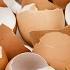 Use Eggshells As Biodegradable Seed Starters