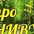 ПЕСНЯ про НИВУ