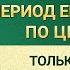 Слово Всемогущего Бога Только те кто сосредоточен на практике могут быть усовершенствованы