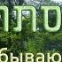 Псалом 90 Давид Д Ор и Томер Адади דוד ד אור ותומר הדדי יושב בסתר עליון перевод с иврита