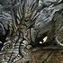 Совместный клип с Анастасией Dragon Волки и драконы Дженифер