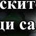 WP Украинските войници са неподготвени