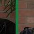The Music Fringe 5 Tropical House With DJ Ferno