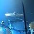 Shania Twain Blue Storm Elijah Wood Drum Cam Dunedin NZ 2018