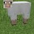 Minecraft Sheep Sound Effect