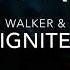 Alan Walker K 391 Ignite 1HOUR