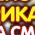 Яндекс Метрика куда смотреть новичку Яндекс метрика для начинающих Урок первый