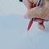 Fast And Easy Trick To Revive A Dead Ballpoint Pen Easy