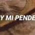 10 HORAS DE Ay Mi Pendejo REMIX