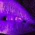 Mark Knight Lukas Setto Get With You Tonight Extended Mix