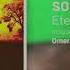 Sound Of Mint Feat Dalal Abdelaziz Sudani Bambara Zuma Dionys Remix