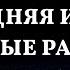 Захватывающие повествования Волшебство новогодней ночи и трогательные истории