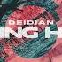 Deidian Coming Home Soluna Music