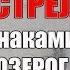 Совместимость в любви знака Стрелец со знаками Стрелец Козерог Водолей Рыбы