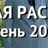 ОГРОМНАЯ РАСПАКОВКА фирменных вещей с AliExpress Осень 2024 часть 1