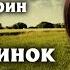 Александр Куприн Поединок Радиоспектакль по одноименной повести 1977 Аудиокниги