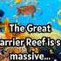 CORAL FACTS The Great Barrier Reef Is So Massive Shorts