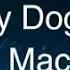 Quirky Dog Kevin Macleod