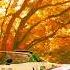 T Square The Autumn Of 75