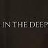 We Could Have Had It All Rolling In The Deep Adele Tiktok Version