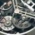 Don T Buy A Hublot Watch Shorts