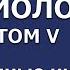33 Основы социологии Том 5 глава 19 4