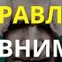 КАК НАУЧИТЬСЯ НЕ ОТВЛЕКАТЬСЯ 4 шага к концентрации и управлению своей жизнью