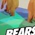 Bears Dance To Sweet Dreams 10 Hours