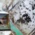 Life On The Edge TRILOKNATH LAHAUL VALLEY Yeti Snow Festival 2025 Himbus